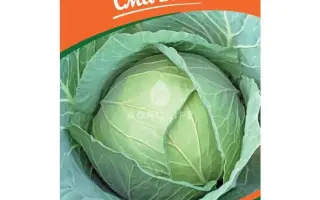 /Ольга/ / Ольга