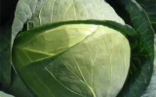 SV3388JL / СВ3388ЖЛ