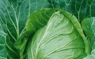 Svirel / Свірель