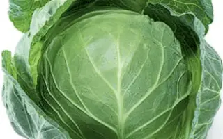 Start F1 / Старт F1