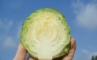 Surprise F1 / Сюрприз F1