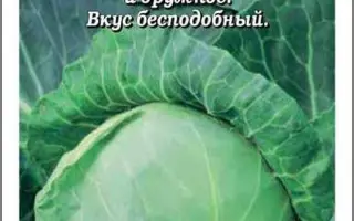 Uvertyura / Увертюра