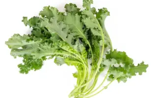 Karillo / Карілло