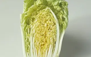 Vitimo F1 / Вітімо F1