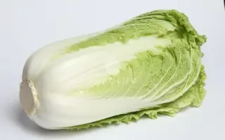 Зимородок F1