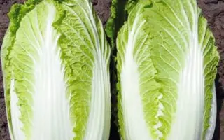 KISEKI / КІСЕКІ