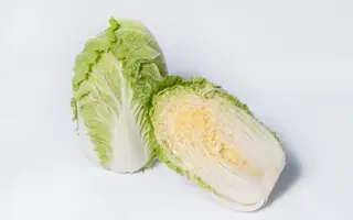 Questar F1 / Кьюстар F1