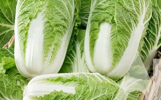 Mikado F1 / Мікадо F1