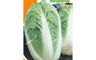 Mishel / Мішель