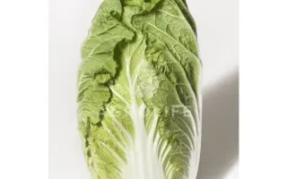 Orient Star / Орієнт Стар