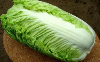 Pacifiko / Паціфіко