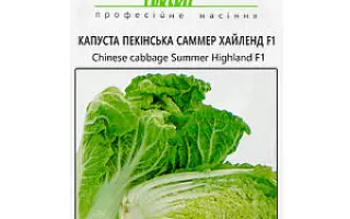 Summer Highland F1 / Саммер Хайленд F1