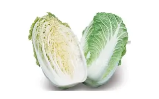 Sprinkin F1 / Спрінкін F1