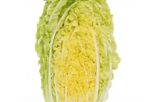 Tabaluga / Табалуга