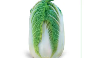 Zena F1 / Зена F1