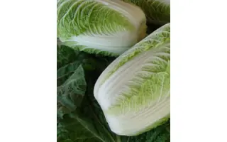 Capitol / Капітол