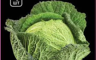 Madlene / Мадлен