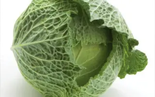 Morama F1 / Морама F1