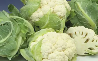 Amerigo F1 / Амеріго F1