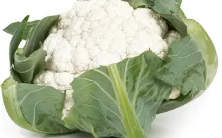 Arienzo / Арієнзо