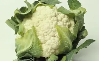 Barcelona F1 / Барселона F1