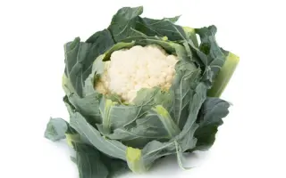 Venosa / Веноза