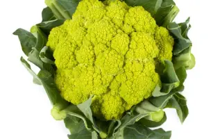 Gilverde / Гільверде