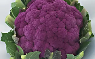 GRAFFITI / ГРАФФІТІ