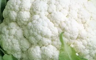 Goodman / Гудмен