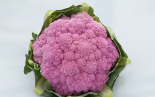 DEPURPLE / ДЕПУРПЛ