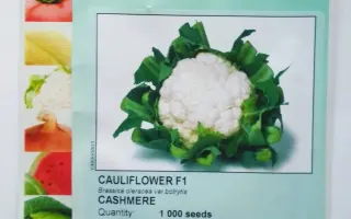 Cashmere / Кашмір