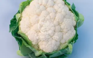 CLARINA / КЛАРІНА