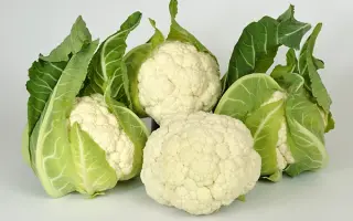 KORLANU / КОРЛАНУ