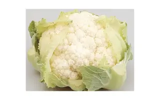 Cortes / Кортес