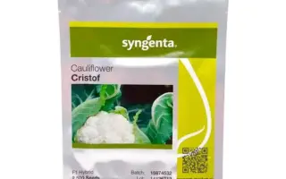 CRISTOF / КРІСТОФ