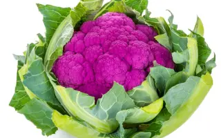 Lavender / Лавендер