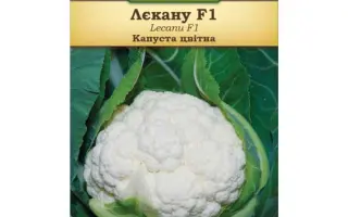 Lecanu F1 / Лекану F1