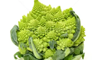 Puntoverde / Пунтоверде