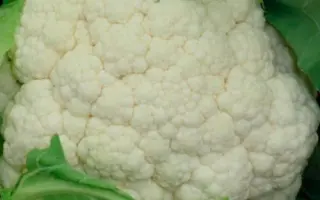 Alhambra F1 / Аламбра F1