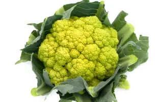 Vitaverde / Вітаверде