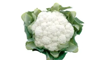 Dexter F1 / Декстер F1