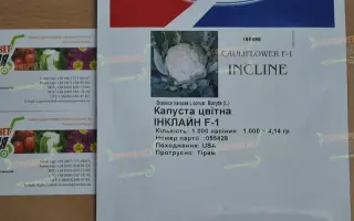 Incline / Інклайн