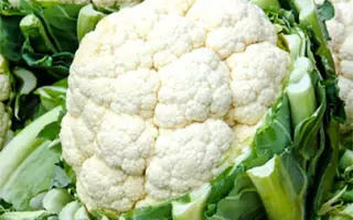 Kerdos F1 / Кердос F1