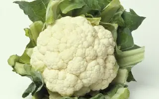 Mexico F1 / Мехіко F1