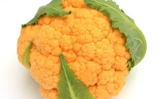 Sunset / Сансет