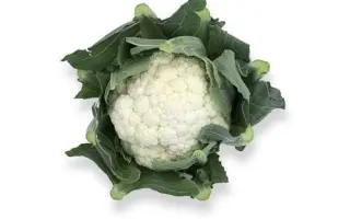 Stabilis F1 / Стабіліс F1