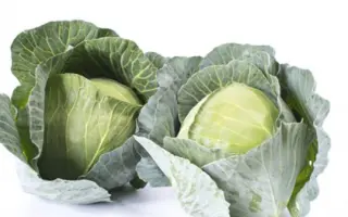 Tofar F1 / Тофар F1