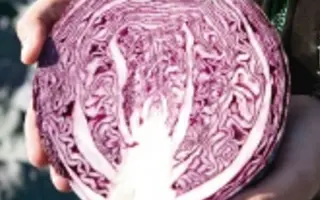 Klimaro F1 / Клімаро F1