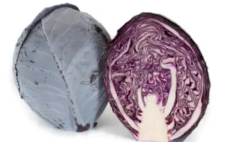 Rodima F1 / Родіма F1