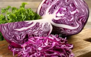 Rozera / Розера